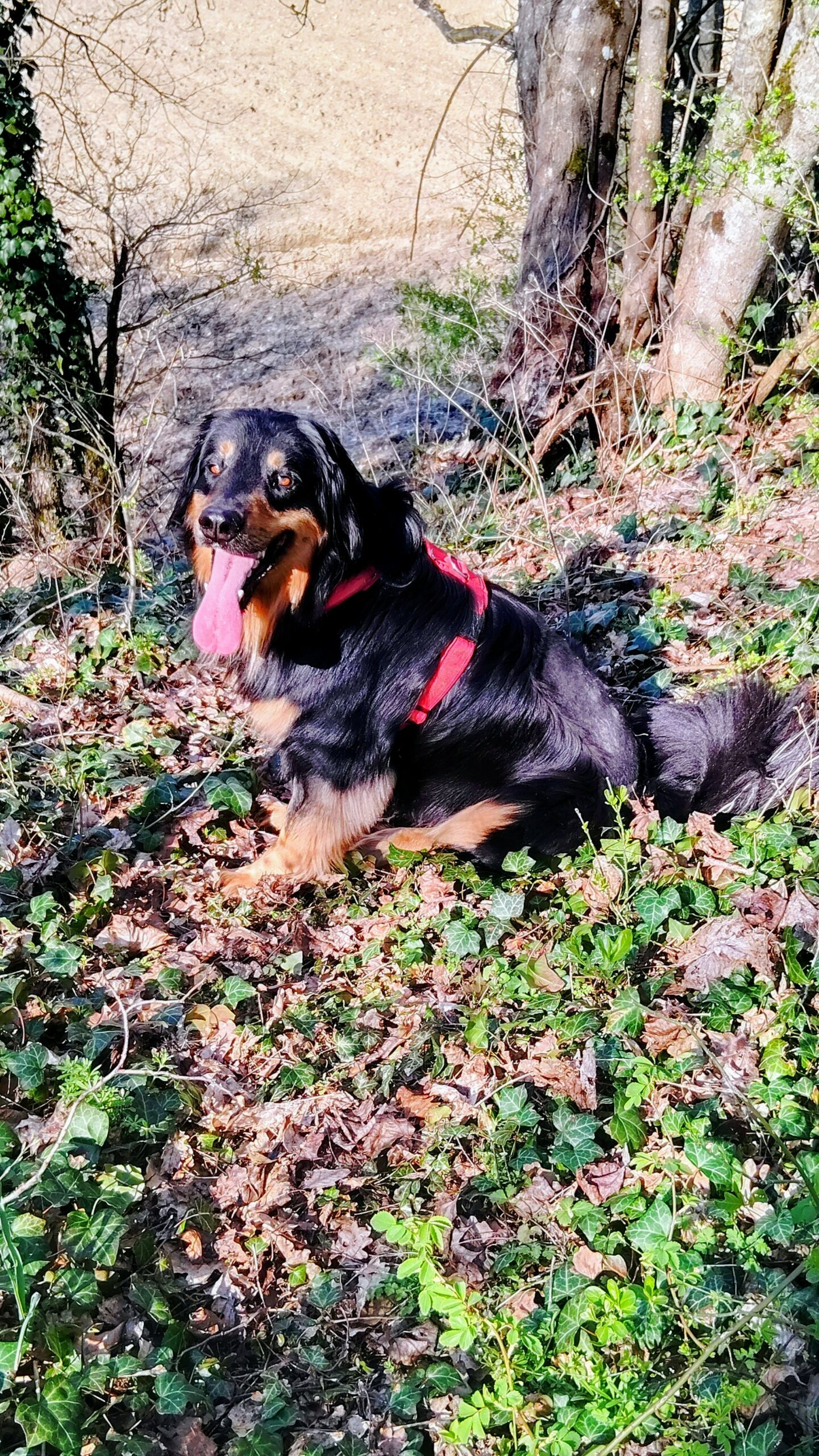 0d24b8d0-001c-424f-9982-08117010c5f51