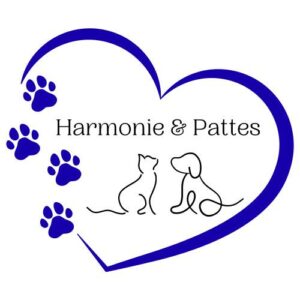 Lire la suite à propos de l’article 🐾 Harmonie & Pattes est officiellement lancée ! 🐾 Bonjour à toutes et to…