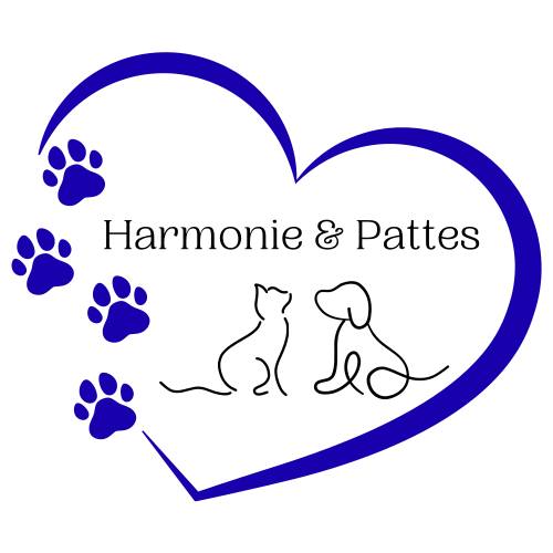 🐾 Harmonie & Pattes est officiellement lancée ! 🐾 Bonjour à toutes et to…